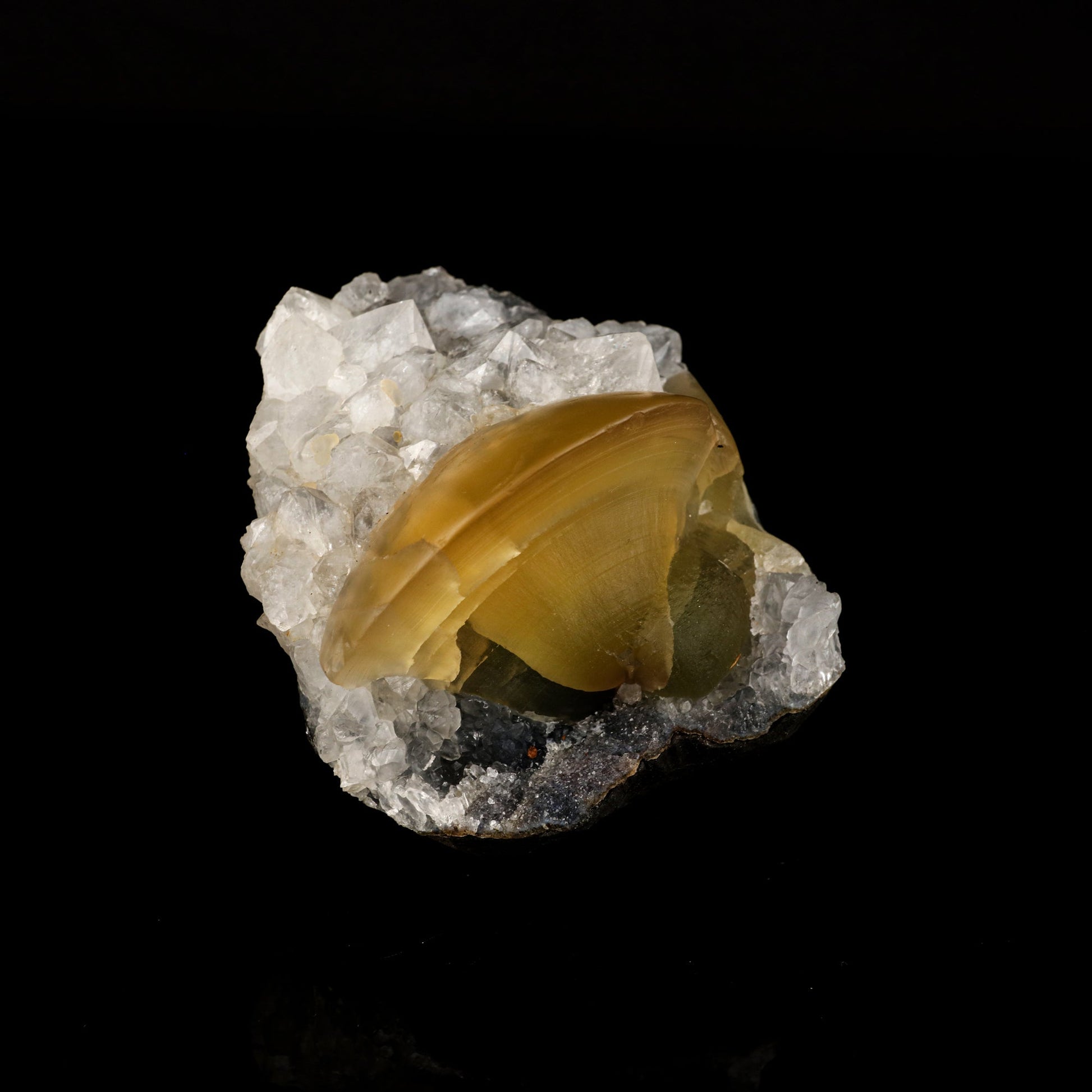Fluorite on MM Quartz Natural Mineral Specimen # B 6116 Fluorite Superb Minerals 