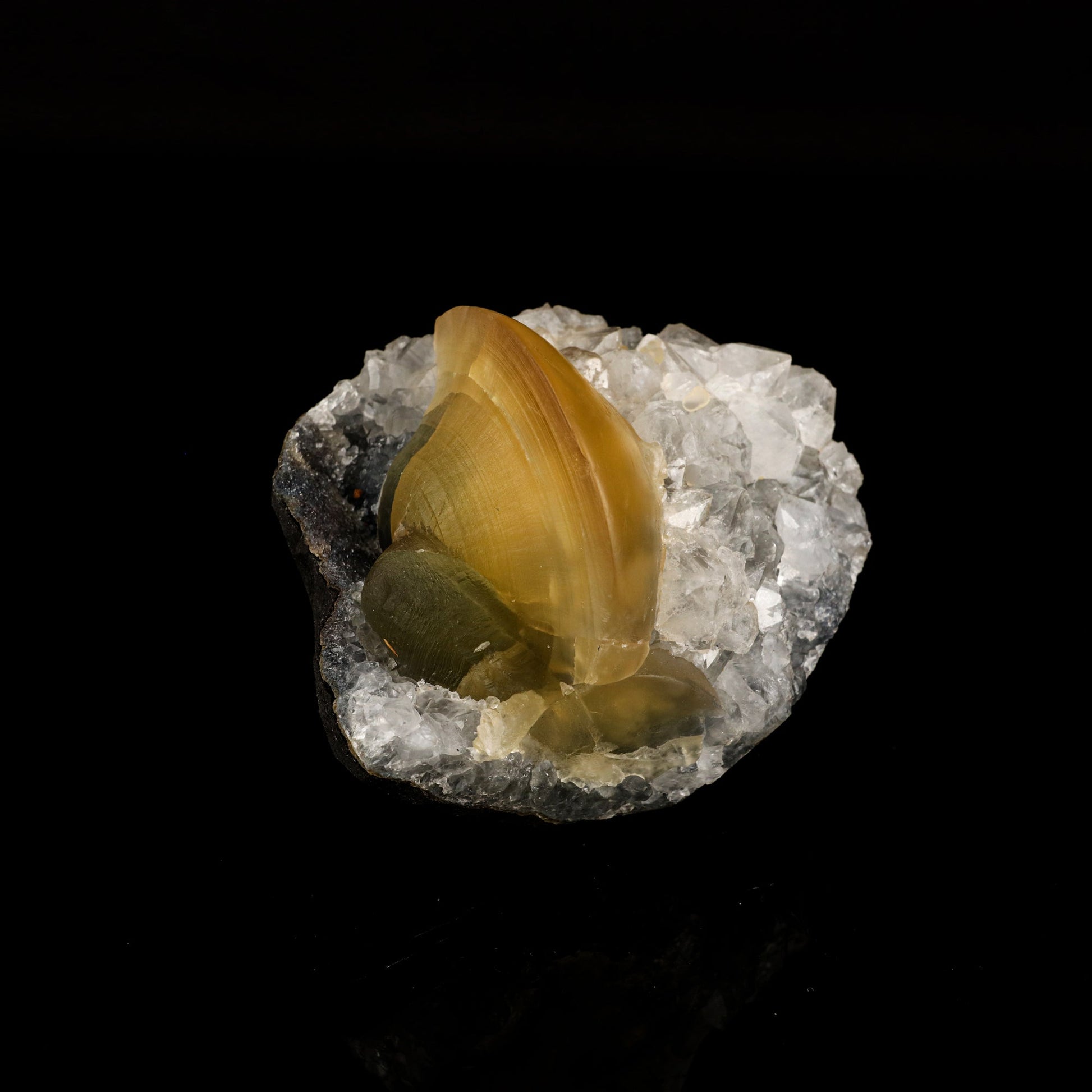 Fluorite on MM Quartz Natural Mineral Specimen # B 6116 Fluorite Superb Minerals 