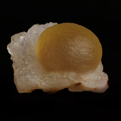 Fluorite (rare botryoidal) on Quartz Natural Mineral Specimen # B 50…  https://www.superbminerals.us/products/fluorite-rare-botryoidal-on-quartz-natural-mineral-specimen-b-5031  Features:&nbsp;This specimen is a great example of this well-known material, with a delicate golden-yellow sphere sitting on a somewhat smokey colour Quartz crystal matrix.It's crucial to note that the Quartz is crystallised, as many pieces from this locality have Fluorite atop cryptocrystalline Quart