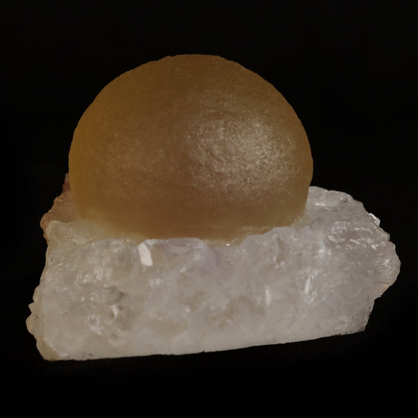 Fluorite (rare botryoidal) on Quartz Natural Mineral Specimen # B 50…  https://www.superbminerals.us/products/fluorite-rare-botryoidal-on-quartz-natural-mineral-specimen-b-5031  Features:&nbsp;This specimen is a great example of this well-known material, with a delicate golden-yellow sphere sitting on a somewhat smokey colour Quartz crystal matrix.It's crucial to note that the Quartz is crystallised, as many pieces from this locality have Fluorite atop cryptocrystalline Quart