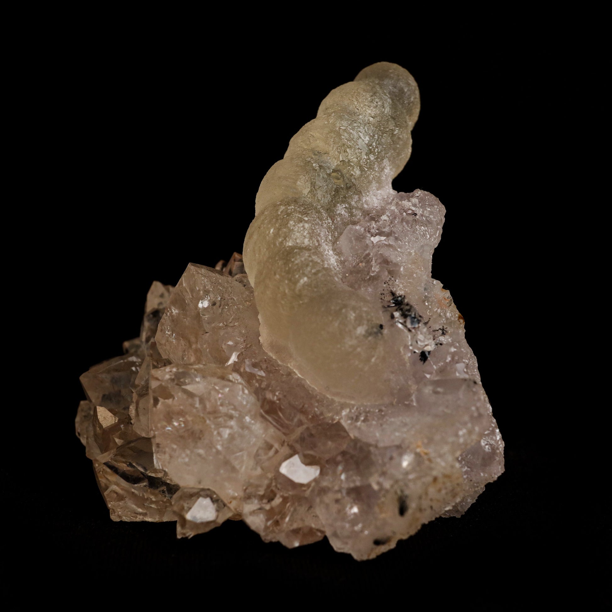 Fluorite (unusual Formation) on MM Quartz Natural Mineral Specimen # …  https://www.superbminerals.us/products/fluorite-tamarind-formation-on-mm-quartz-natural-mineral-specimen-b-5050  Features: The Fluorite on this specimen has a yellow or gold hue and despite the fact that it is not truly crystallized (it's essentially spherical and/or amorphous), it's very gemmy and eye-catching when backlit. The Fluorite is sitting on gemmy colorless Quartz crystals, some of which show very minor Amethyst