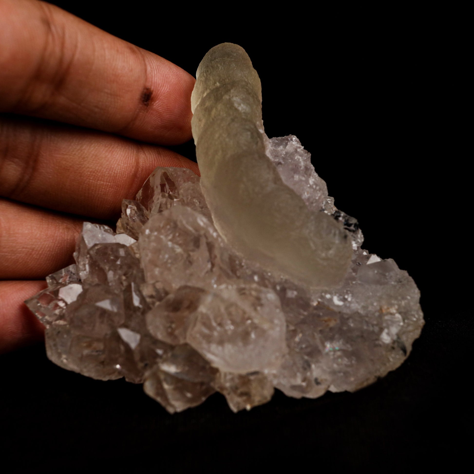 Fluorite (unusual Formation) on MM Quartz Natural Mineral Specimen # …  https://www.superbminerals.us/products/fluorite-tamarind-formation-on-mm-quartz-natural-mineral-specimen-b-5050  Features: The Fluorite on this specimen has a yellow or gold hue and despite the fact that it is not truly crystallized (it's essentially spherical and/or amorphous), it's very gemmy and eye-catching when backlit. The Fluorite is sitting on gemmy colorless Quartz crystals, some of which show very minor Amethyst