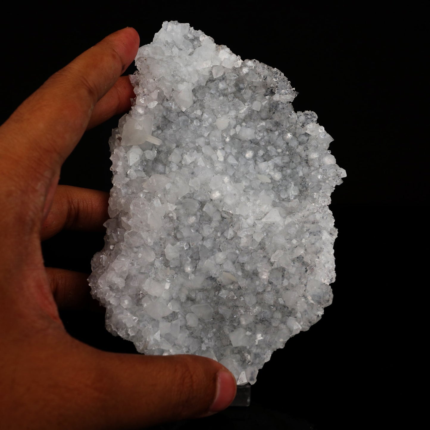 Gemmy Apophyllite Slice Natural Mineral Specimen # B 5612 Apophyllite Superb Minerals 
