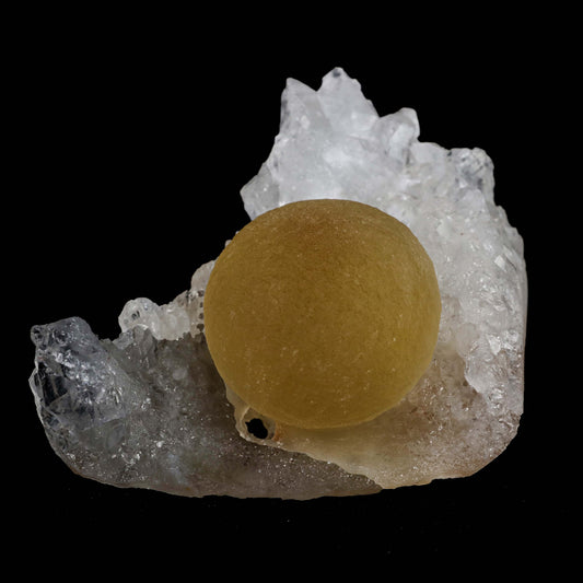 Golden Fluorite Botridoal on MM Quartz Natural Mineral Specimen # B 5…  https://www.superbminerals.us/products/golden-fluorite-botridoal-on-mm-quartz-natural-mineral-specimen-b-5173  Features: These golden botryoidal fluorites are one-of-a-kind and incredibly appealing.On a gemmy, colourless, stubby quartz crystal matrix, this specimen has a very gemmy, good sized, rich golden hue fluorite "sphere." Primary Mineral(s): Fluorite Secondary Mineral(s): MM Quartz