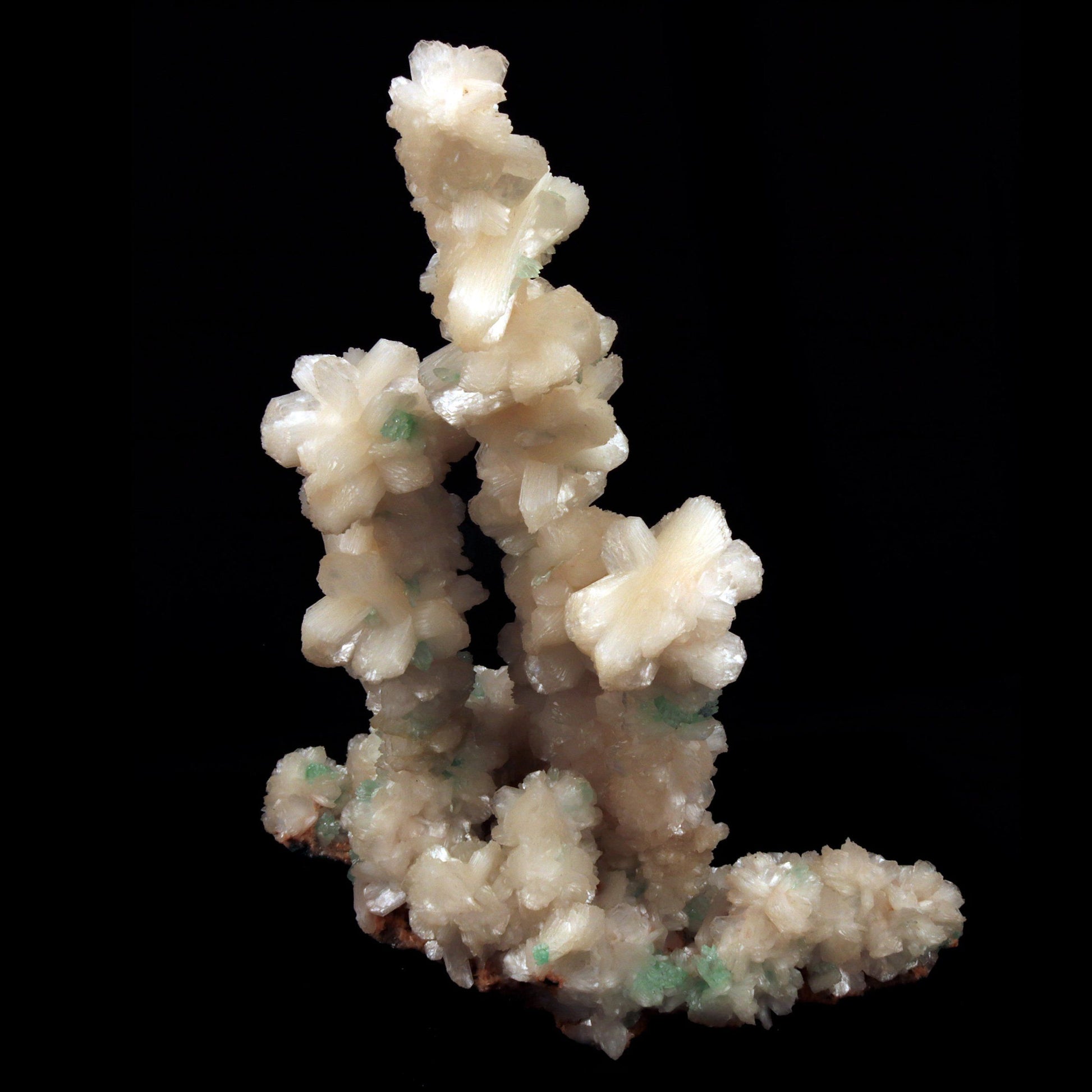 Green Apophyllite Crystals with Stilbite on Heulandite Bush Formation #W35 Apophyllite & Heulandite Superb Minerals 