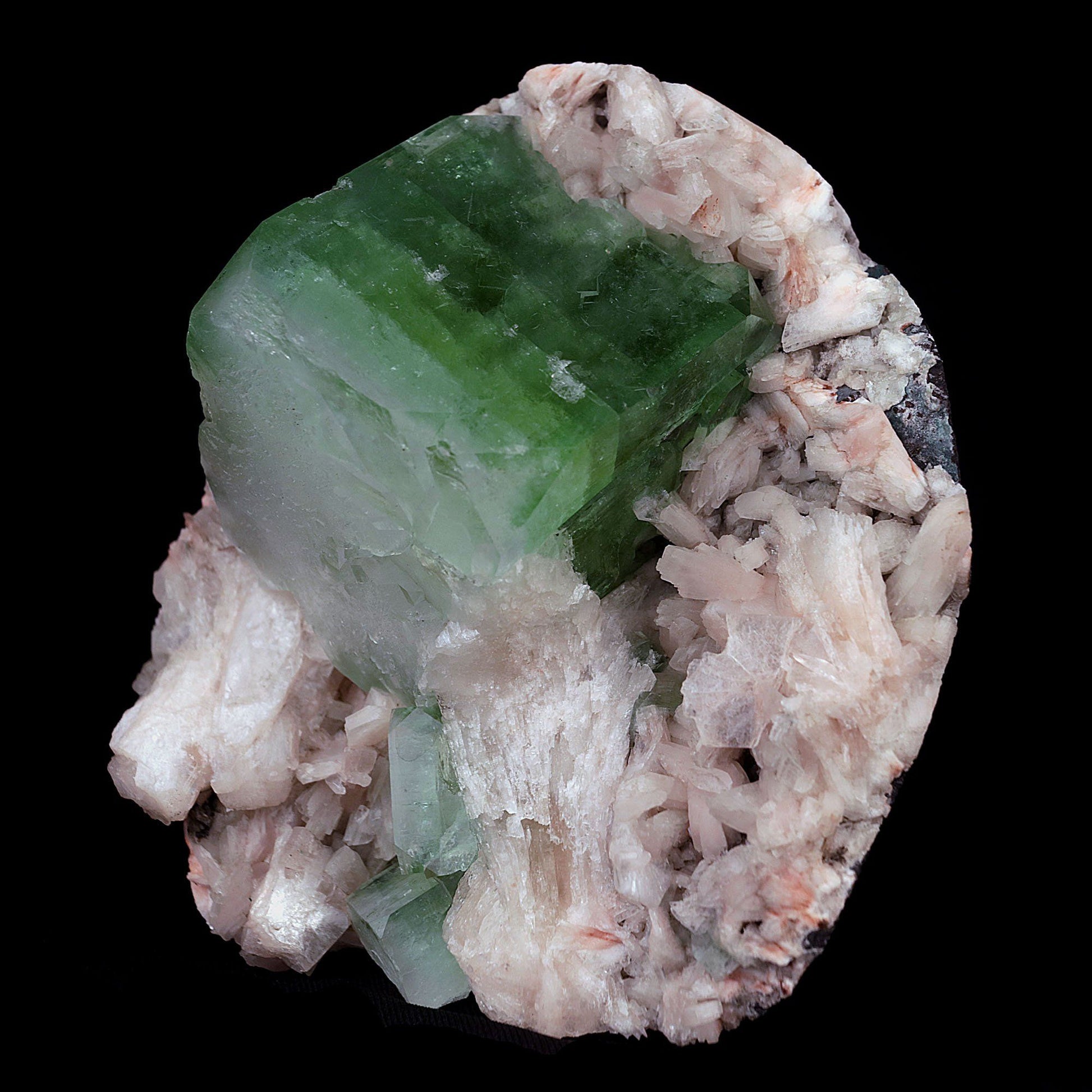 Green Apophyllite Cube with Stilbite Heulandite Natural Mineral # B 41…  https://www.superbminerals.us/products/green-apophyllite-cube-with-stilbite-heulandite-natural-mineral-b-4161  Features:Large shallow vug with a transparent penetrating layerd dark green to mint green Apophyllite cubic crystal on druzy chalcedony formations with Stilbite crystals, all on a bed of white miniature Huelandite crystals on a dark gray Matrix. The color of the Apophyllite is exceptional as is the contrast 