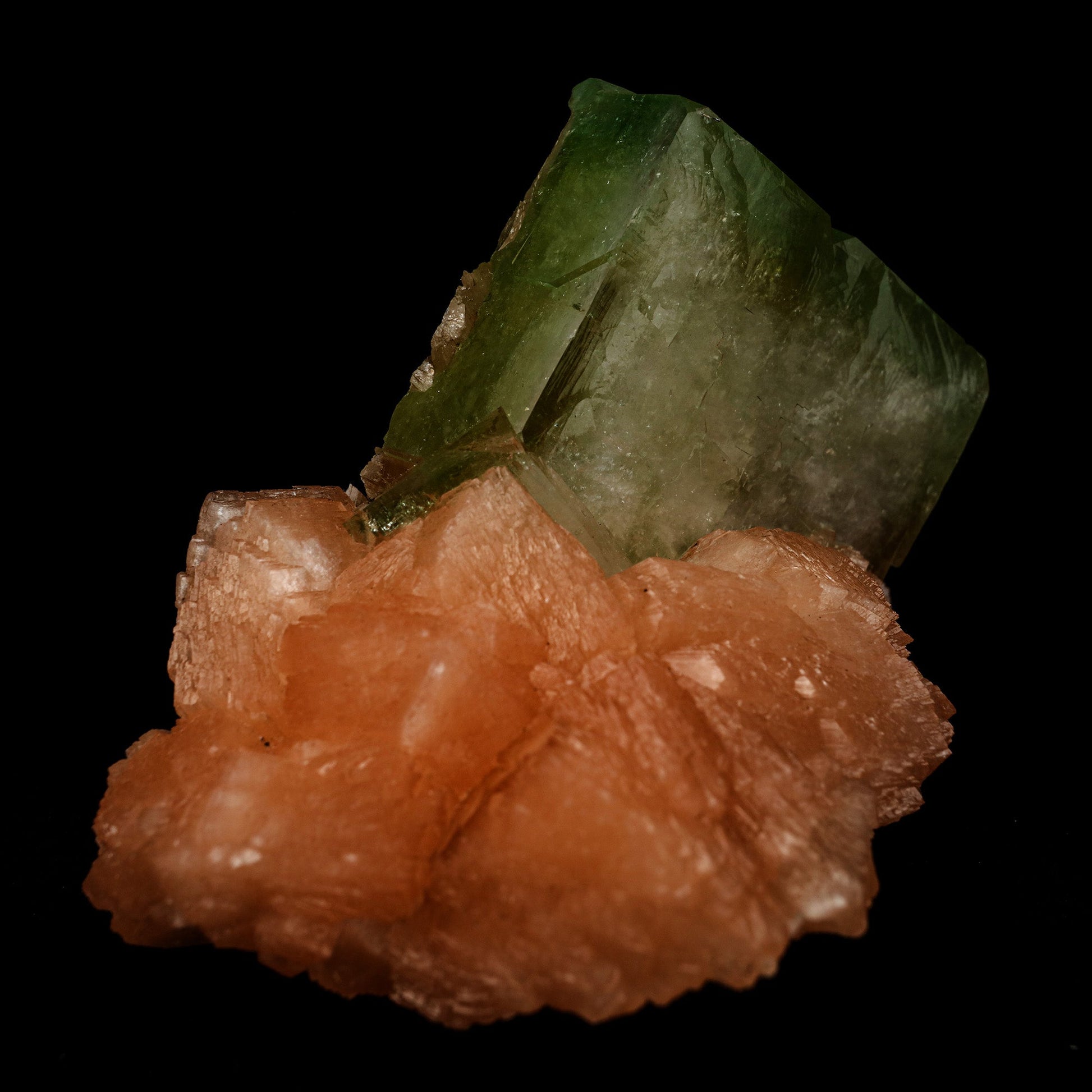 Green Apophyllite Cube with Stilbite Natural Mineral Specimen # B 509…  https://www.superbminerals.us/products/green-apophyllite-cube-with-stilbite-natural-mineral-specimen-b-5095  Features: A very large cabinet-size specimen hosting numerous lustrous, transparent, mint-green pseudocubic Apophyllite crystals all on a bed. The color of the Apophyllite is exceptional as is the contrast and balance. A very aesthetic and unique piece in excellent condition. Primary Mineral(s): Apophyllite