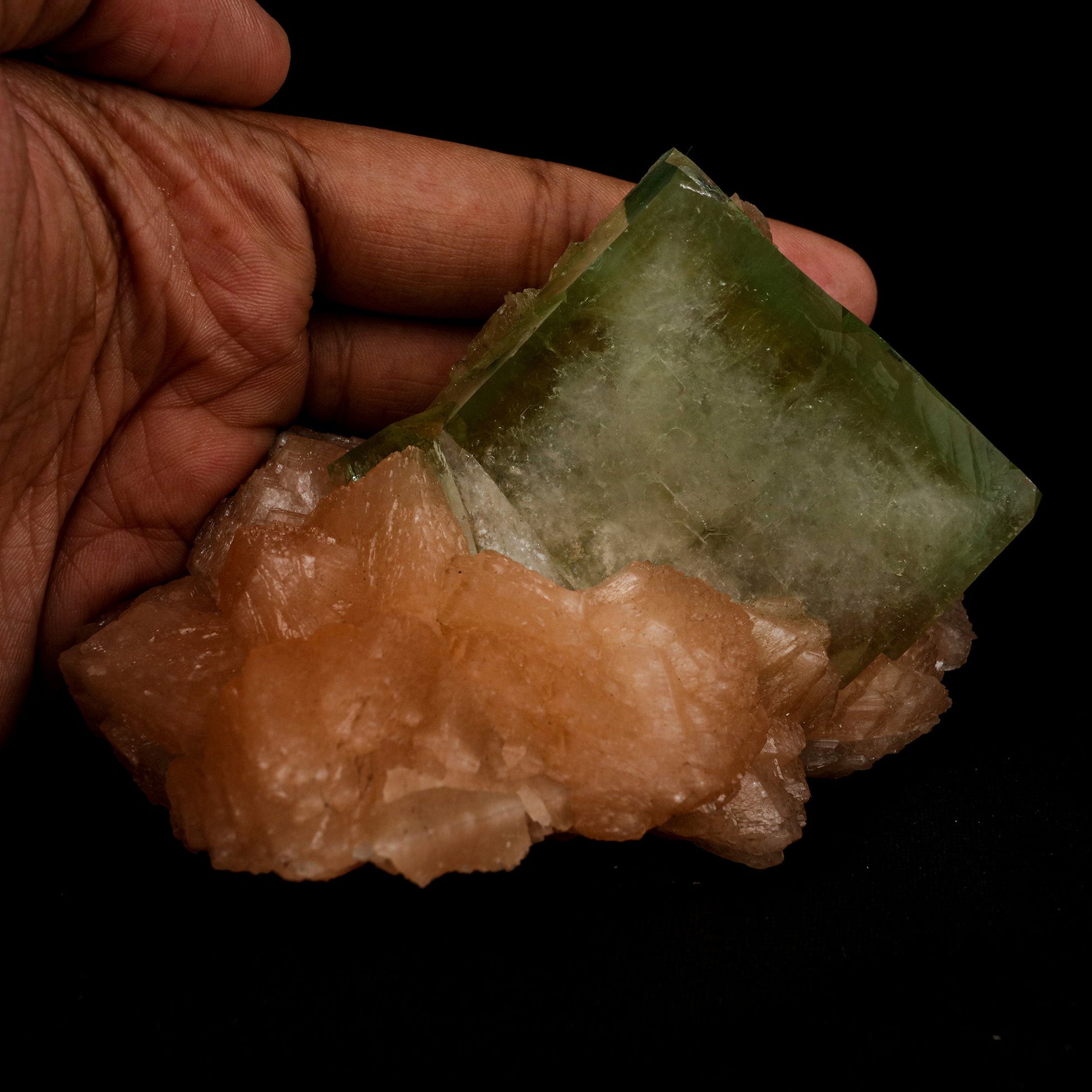 Green Apophyllite Cube with Stilbite Natural Mineral Specimen # B 509…  https://www.superbminerals.us/products/green-apophyllite-cube-with-stilbite-natural-mineral-specimen-b-5095  Features: A very large cabinet-size specimen hosting numerous lustrous, transparent, mint-green pseudocubic Apophyllite crystals all on a bed. The color of the Apophyllite is exceptional as is the contrast and balance. A very aesthetic and unique piece in excellent condition. Primary Mineral(s): Apophyllite