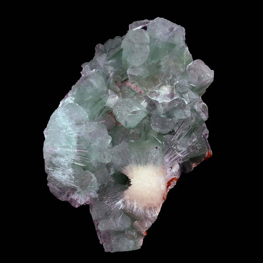 Green Apophyllite Cubical Crystals with Scolecite Natural Mineral Spec…  https://www.superbminerals.us/products/disco-green-apophyllite-with-scolecite-natural-mineral-specimen-b-4006  Features Large lustrous transparent green cubical ball Apophyllite crystals to with elongated lustrous transparent colorless Scolecite sprays. A second generation of smaller water-clear Apophyllite crystals grew in the Scolecite.Primary Mineral(s):&nbsp; Green ApophylliteSecondary Mineral(s): Scolecite