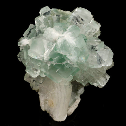Green Apophyllite Disco Ball with Stilbite Natural Mineral Specimen # B 6531 Apophyllite Superb Minerals 