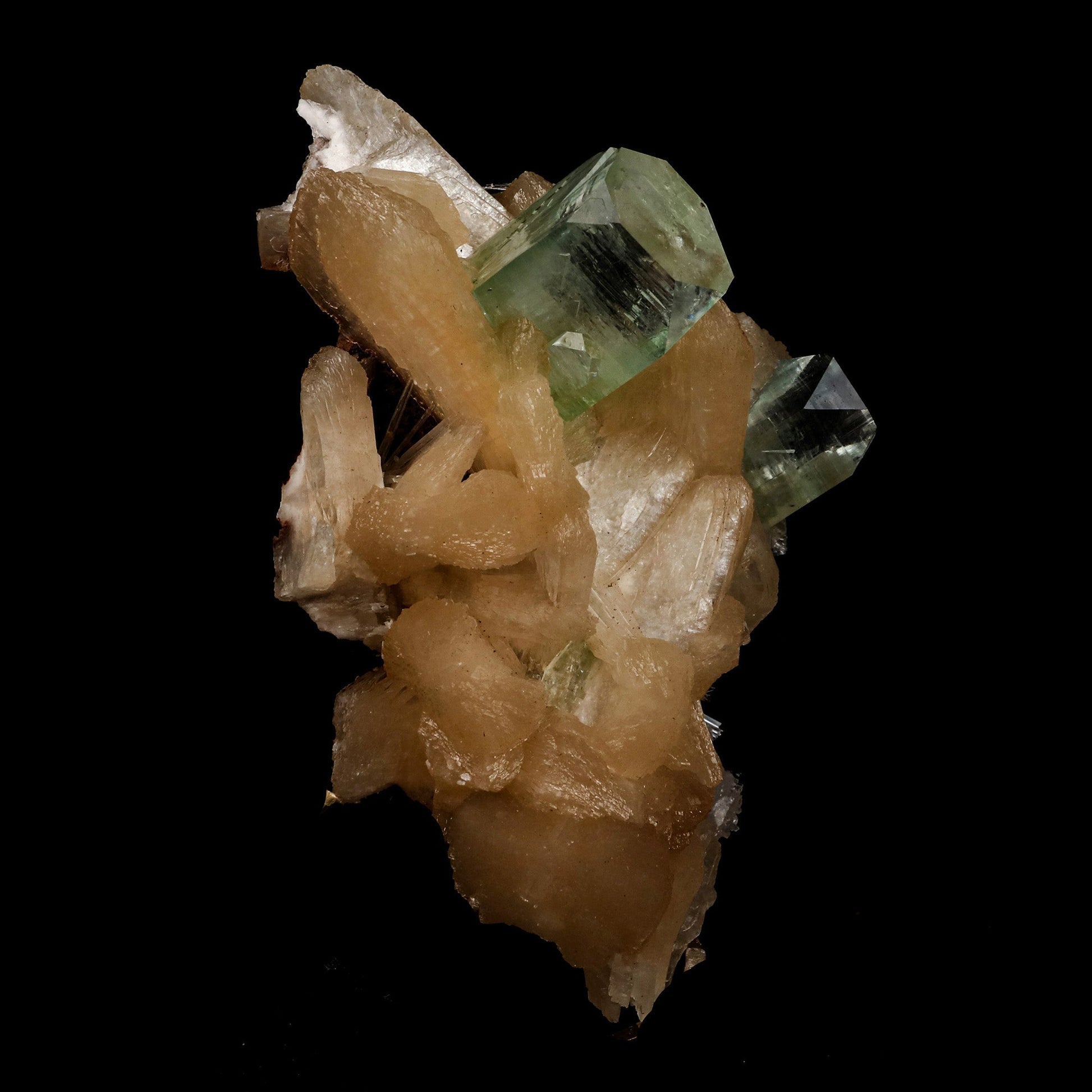 Green Apophyllite Pesudo Crystals with Scolecite on Stilbite Natural M…  https://www.superbminerals.us/products/green-apophyllite-pesudo-crystals-with-stilbite-natural-mineral-specimen-b-5237  Features: A very aesthetic combination piece featuring numerous large, lustrous green modified cubes on a dark-brown matrix hosting numerous acicular sprays of colorless to white, satiny Scolecite Primary Mineral(s): Apophyllite Secondary Mineral(s): Stilbite, ScoleciteMatrix: N/A 5 Inch x 3 InchWeight : 280