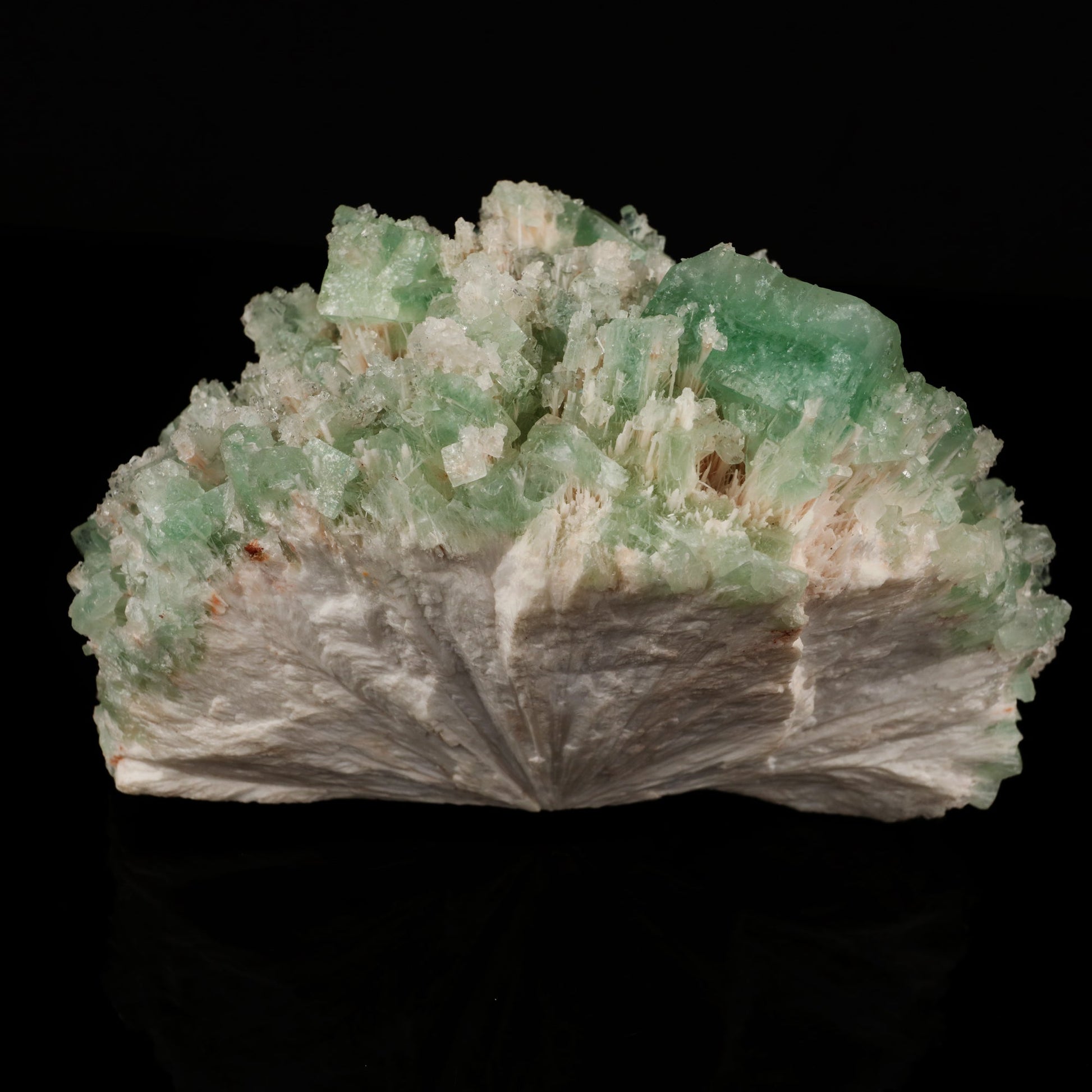 Green Apophyllite with Mordenite Natural Mineral Specimen # B 5582 Apophyllite Superb Minerals 