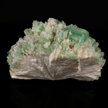 Green Apophyllite with Mordenite Natural Mineral Specimen # B 5582 Apophyllite Superb Minerals 