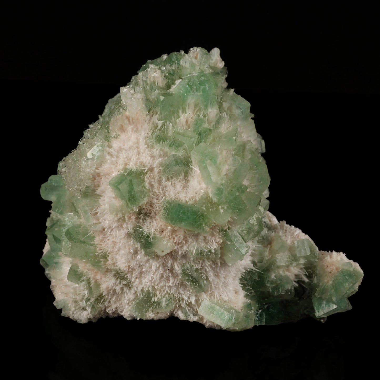 Green Apophyllite with Mordenite Natural Mineral Specimen # B 5585 Apophyllite Superb Minerals 