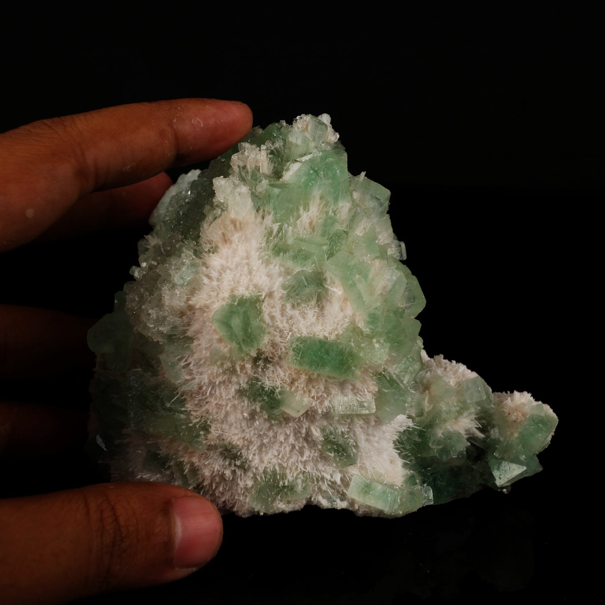 Green Apophyllite with Mordenite Natural Mineral Specimen # B 5585 Apophyllite Superb Minerals 