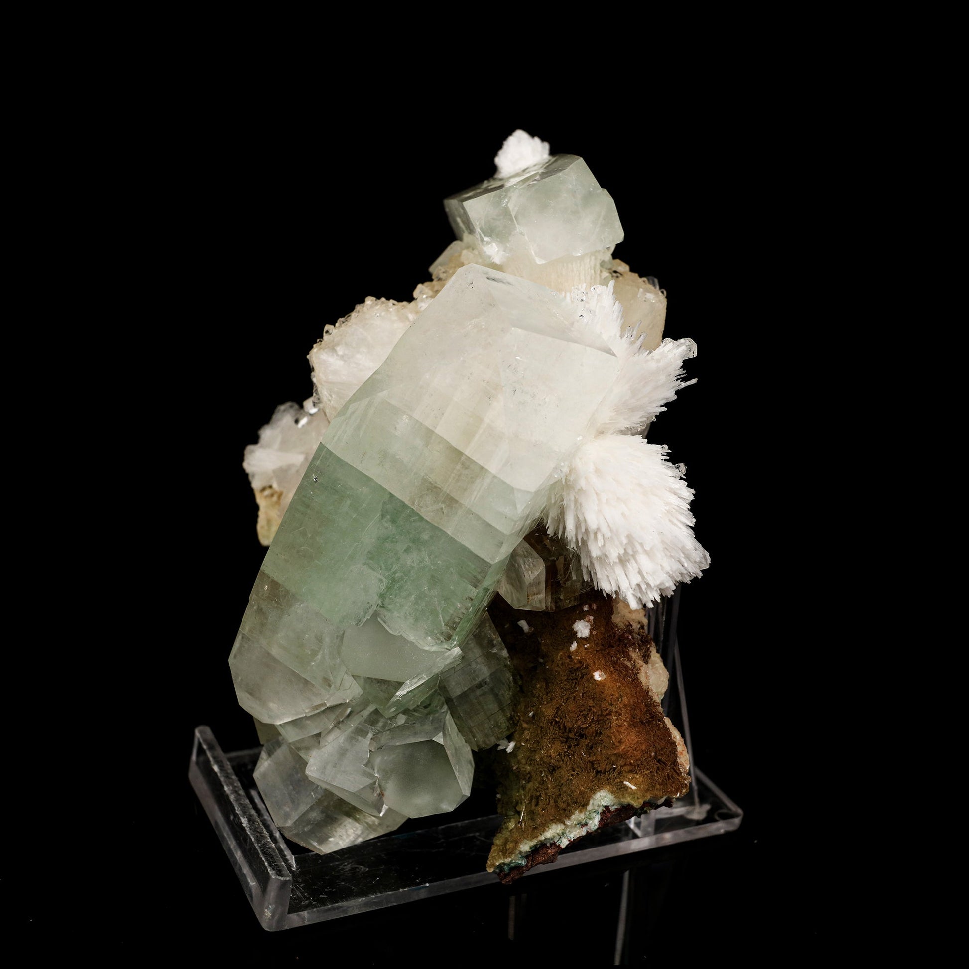 Green Apophyllite with Scolecite Spray Natural Mineral Specimen # B 6231 Apophyllite Superb Minerals 