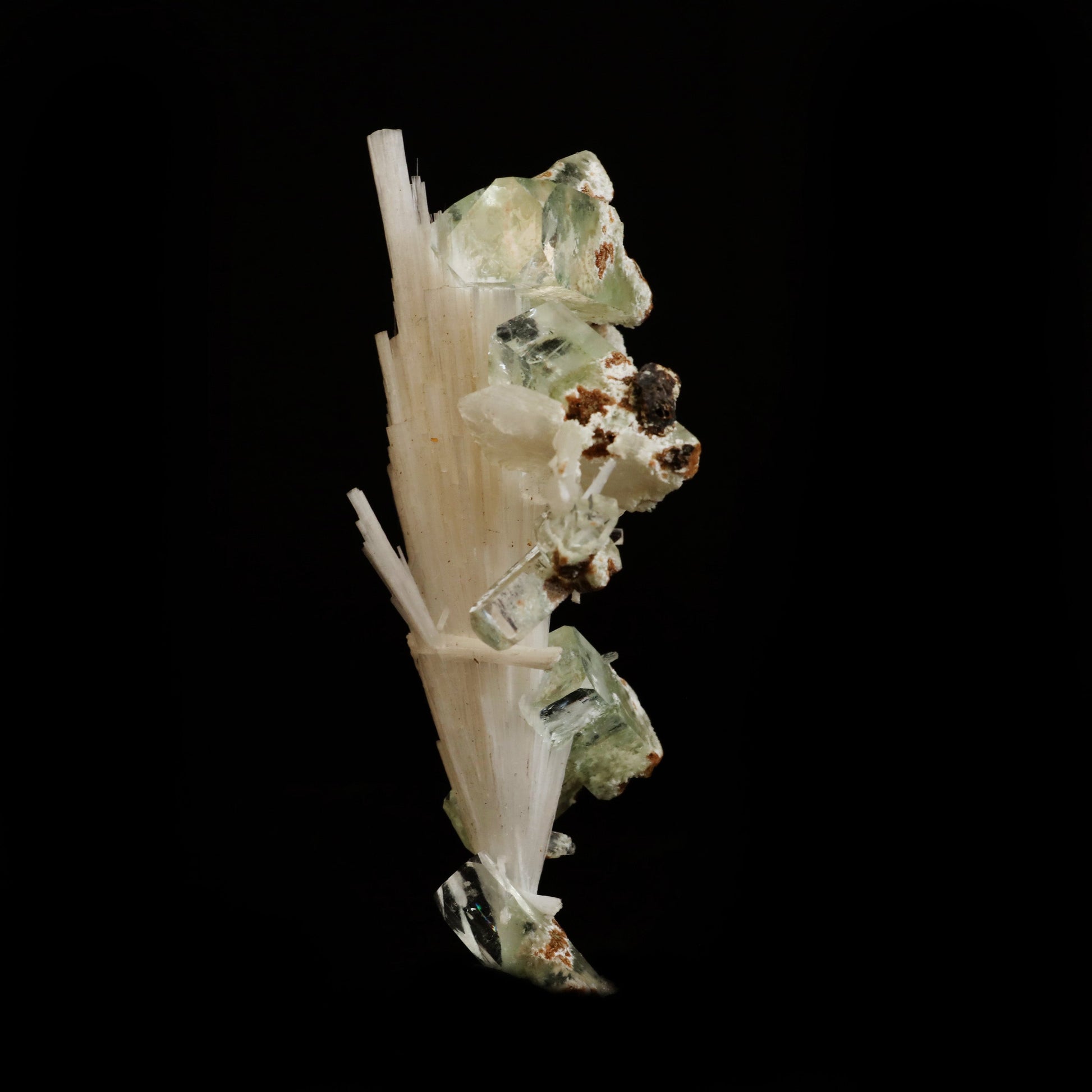 Green Apophyllite with Scolecite Sprays Natural Mineral Specimen # B …  https://www.superbminerals.us/products/green-apophyllite-with-scolecite-sprays-natural-mineral-specimen-b-5019  Features:&nbsp;A massive spray of elongated colourless Scolecite crystals. A little fragment of matrix is connected, along with a small Stilbite crystal and light green apophyllite crystals.Scolecite crystals have a glassy appearance and are highly translucent, with transparent terminations. 