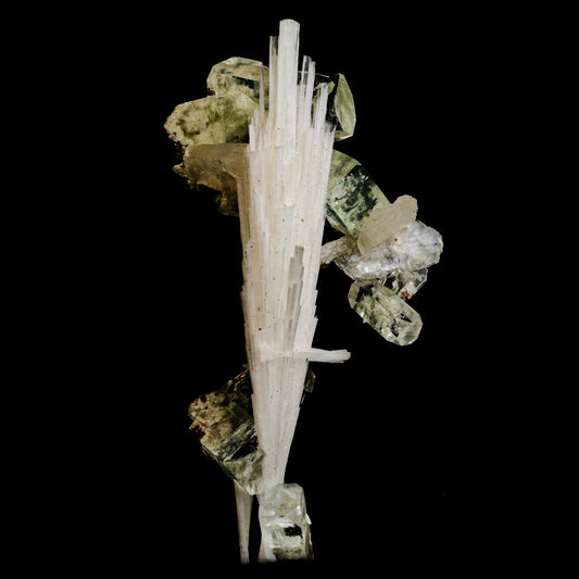 Green Apophyllite with Scolecite Sprays Natural Mineral Specimen # B …  https://www.superbminerals.us/products/green-apophyllite-with-scolecite-sprays-natural-mineral-specimen-b-5019  Features:&nbsp;A massive spray of elongated colourless Scolecite crystals. A little fragment of matrix is connected, along with a small Stilbite crystal and light green apophyllite crystals.Scolecite crystals have a glassy appearance and are highly translucent, with transparent terminations. 