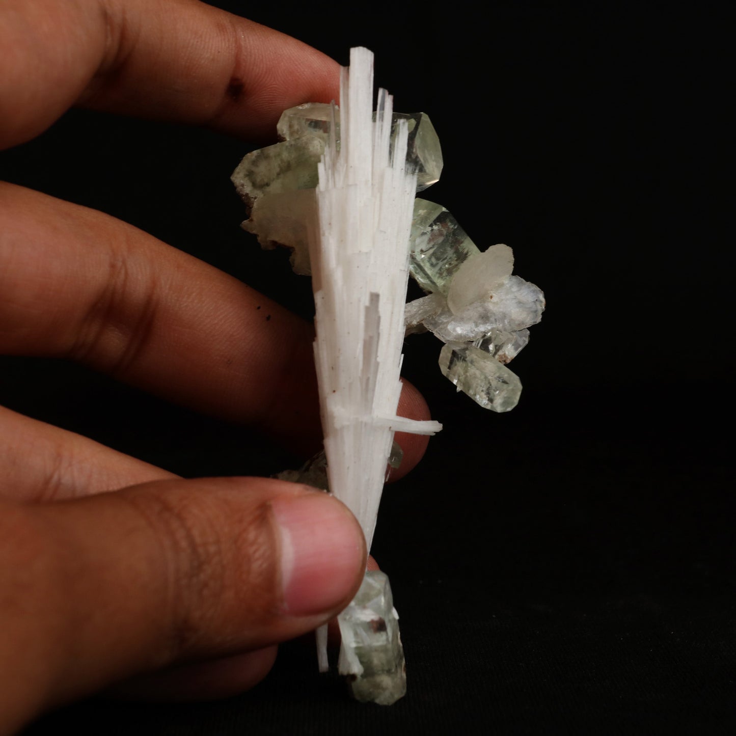 Green Apophyllite with Scolecite Sprays Natural Mineral Specimen # B …  https://www.superbminerals.us/products/green-apophyllite-with-scolecite-sprays-natural-mineral-specimen-b-5019  Features:&nbsp;A massive spray of elongated colourless Scolecite crystals. A little fragment of matrix is connected, along with a small Stilbite crystal and light green apophyllite crystals.Scolecite crystals have a glassy appearance and are highly translucent, with transparent terminations. 