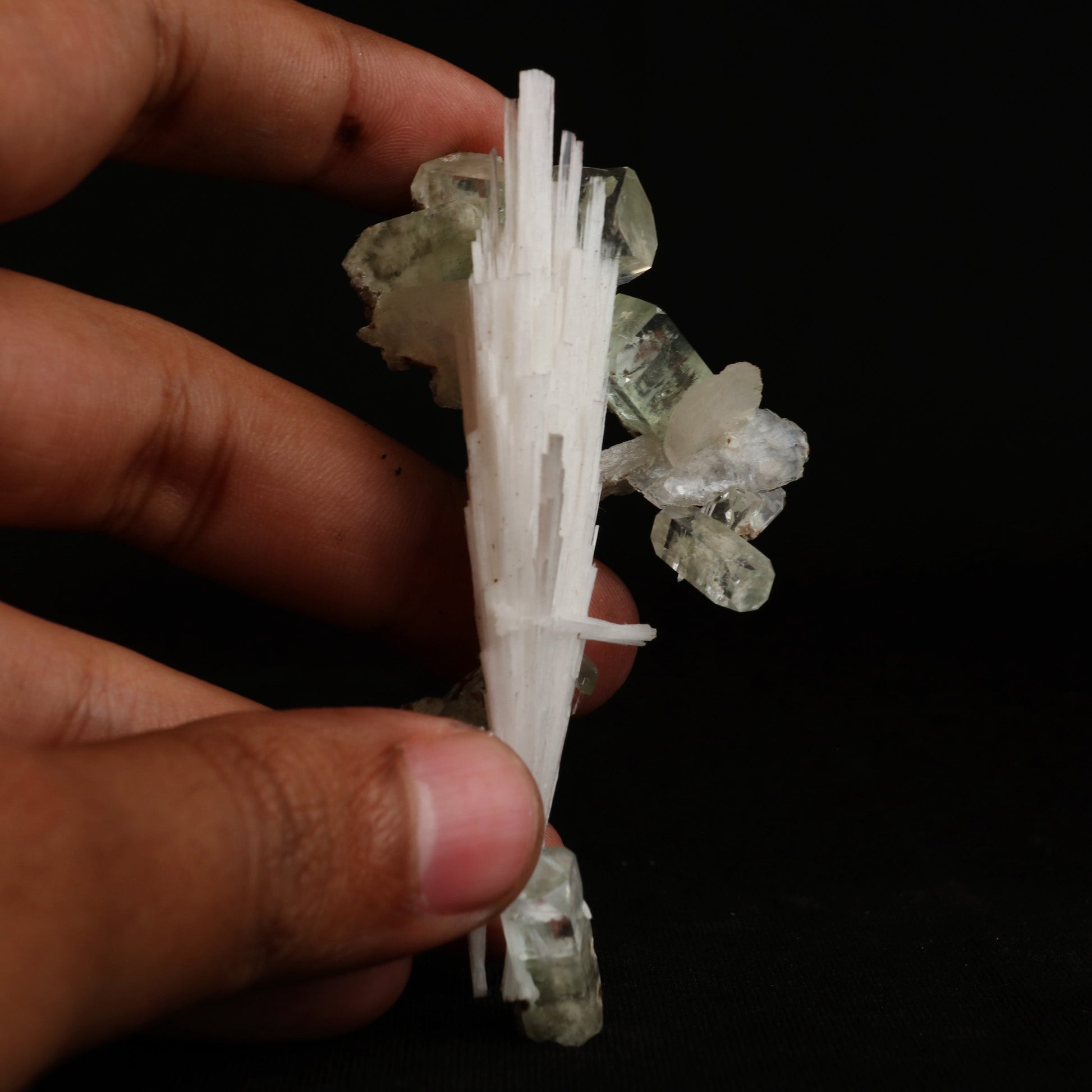 Green Apophyllite with Scolecite Sprays Natural Mineral Specimen # B …  https://www.superbminerals.us/products/green-apophyllite-with-scolecite-sprays-natural-mineral-specimen-b-5019  Features:&nbsp;A massive spray of elongated colourless Scolecite crystals. A little fragment of matrix is connected, along with a small Stilbite crystal and light green apophyllite crystals.Scolecite crystals have a glassy appearance and are highly translucent, with transparent terminations. 