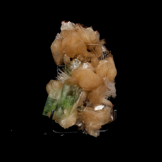 Green Apophyllite with Scolecite Sprays on Stilbite Natural Mineral Sp…  https://www.superbminerals.us/products/green-apophyllite-with-scolecite-sprays-on-stilbite-natural-mineral-specimen-b-5267  Features: This is a beautiful cluster of pseudo-cubic Apophyllite crystals and lustrous peach stilbite. Large Apophyllite crystals show interesting zoning with bands of colors from apple green at the base of the crystals to clear at the top. Primary Mineral(s): Apophyllite Secondary Mineral(s): Stilbite, Scolecite