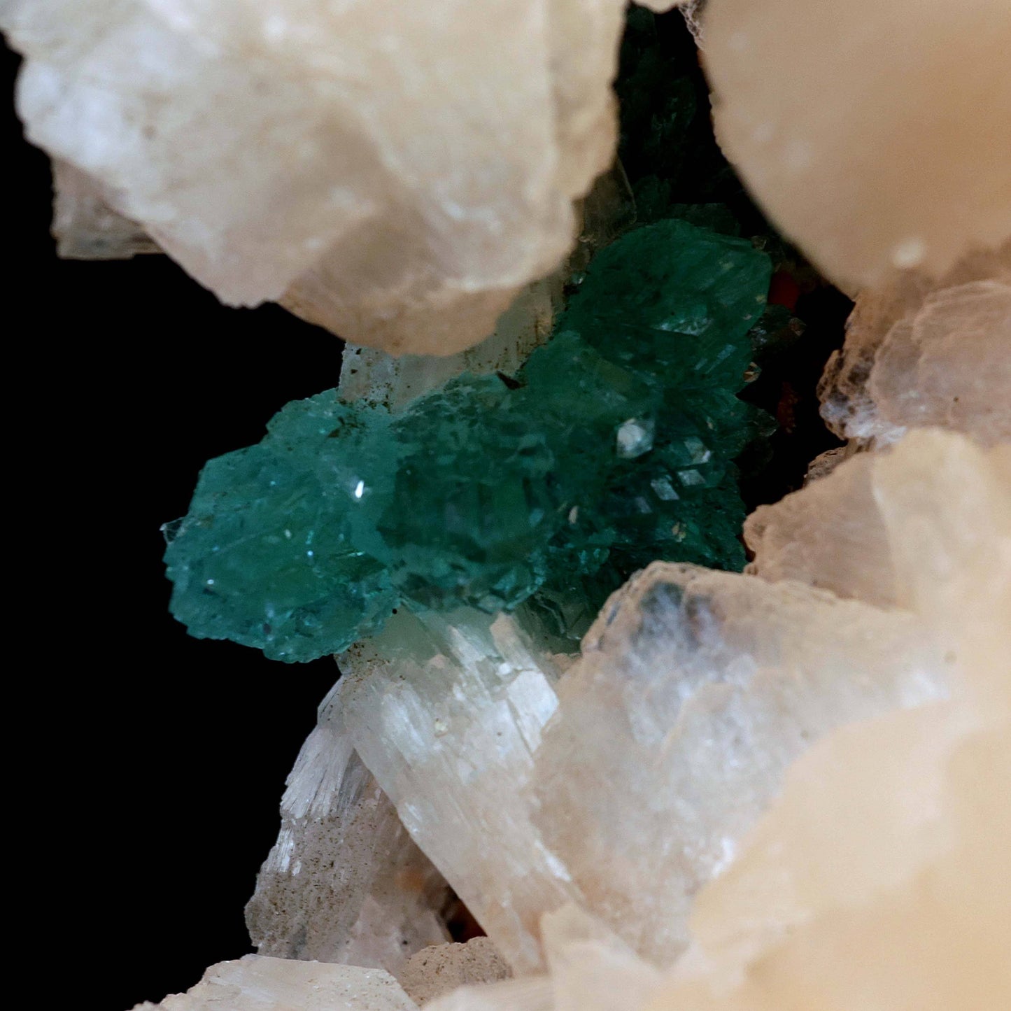 Green Apophyllite with Stilbite Cluster Natural Mineral Specimen # B 3…  https://www.superbminerals.us/products/green-apophyllite-with-stilbite-cluster-natural-mineral-specimen-b-3998  Features A cabinet specimen with the outstanding aesthetics of this piece. The base is defined by a field of pale pink, bladed stilbite crystals. A some point, the chemistry of the vug allowed for the development of apophyllite, and a group of deep-green, perfectly-transparent crystals developed with their axes