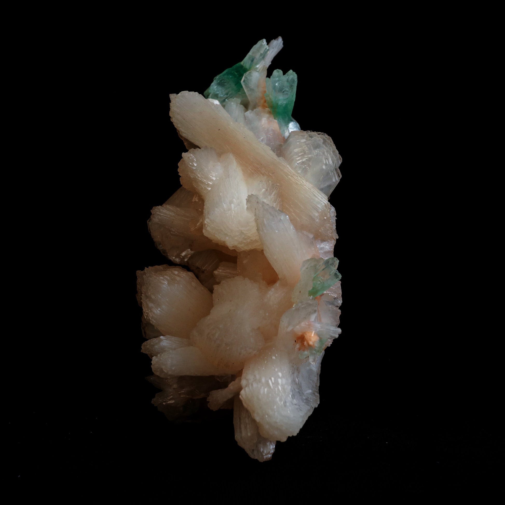 Green Apophyllite with Stilbite Natural Mineral Specimen # B 5056  https://www.superbminerals.us/products/green-apophyllite-with-stilbite-natural-mineral-specimen-b-5056  Features: Transparent green apophyllite crystals long with lustrous crystal faces and steep pyramidal terminations on matrix coated with lustrous peach-baggie coloured Stilbite crystals of 