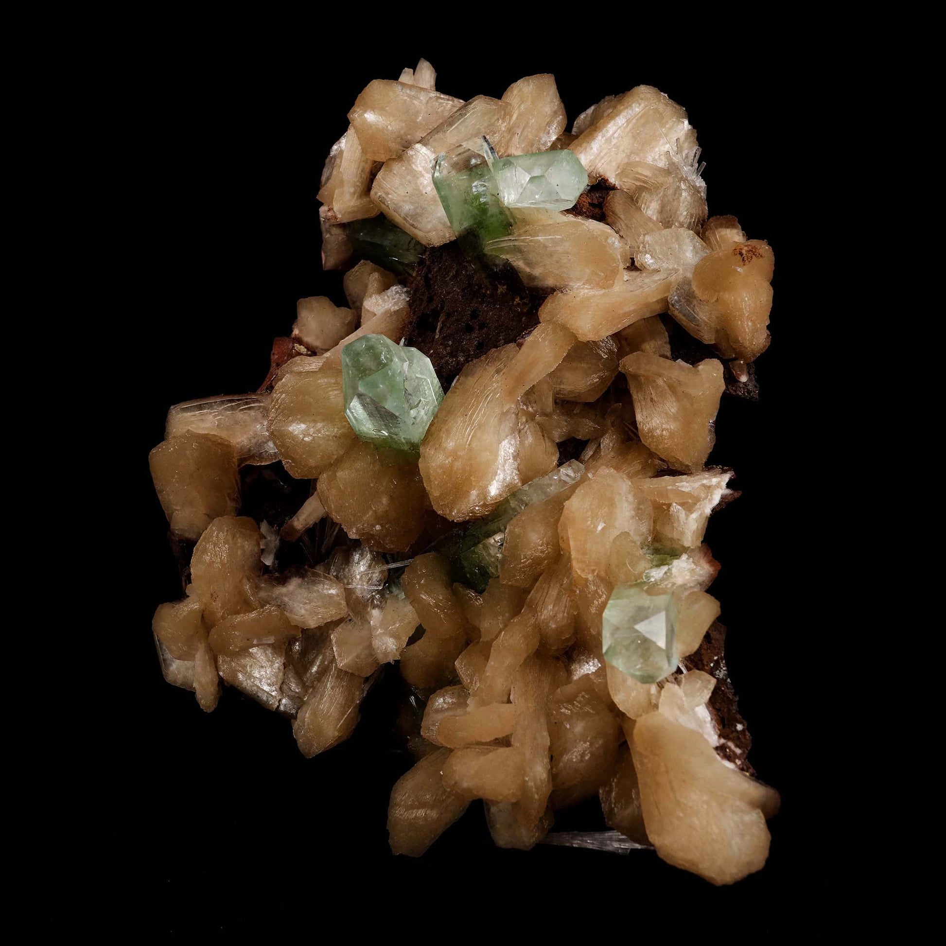 Green Apophyllite with Stilbite Natural Mineral Specimen # B 5184  https://www.superbminerals.us/products/green-apophyllite-with-stilbite-natural-mineral-specimen-b-5184  Features: A very aesthetic piece featuring a matrix densely coated with miniature, beige Stilbite crystals with a cluster of lustrous, larger light-beige Stilbite crystals at the base, all hosting a crown of transparent, mint-green Apophyllite pseudocubic (rectangular) crystals. Great contrast, color, symmetry 