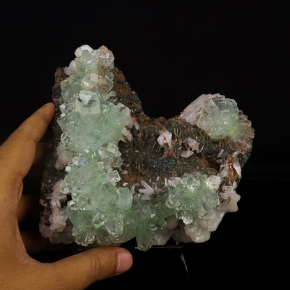 Green Apophyllite with Stilbite Natural Mineral Specimen # B 6726 Apophyllite Superb Minerals 