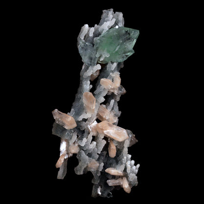 Green Apophyllite with Stilbite on Chalcedony Stalactite Natural Miner… https://www.superbminerals.us/products/green-apophyllite-with-stilbite-on-chalcedony-stalactite-natural-mineral-specimen-b-4841 Features: Apophyllite crystals are glossy and crisp, with tiny bladed white Stilbite on pastel purplish Chalcedony stalactites on matrix in this great show specimen. Fantastic condition
