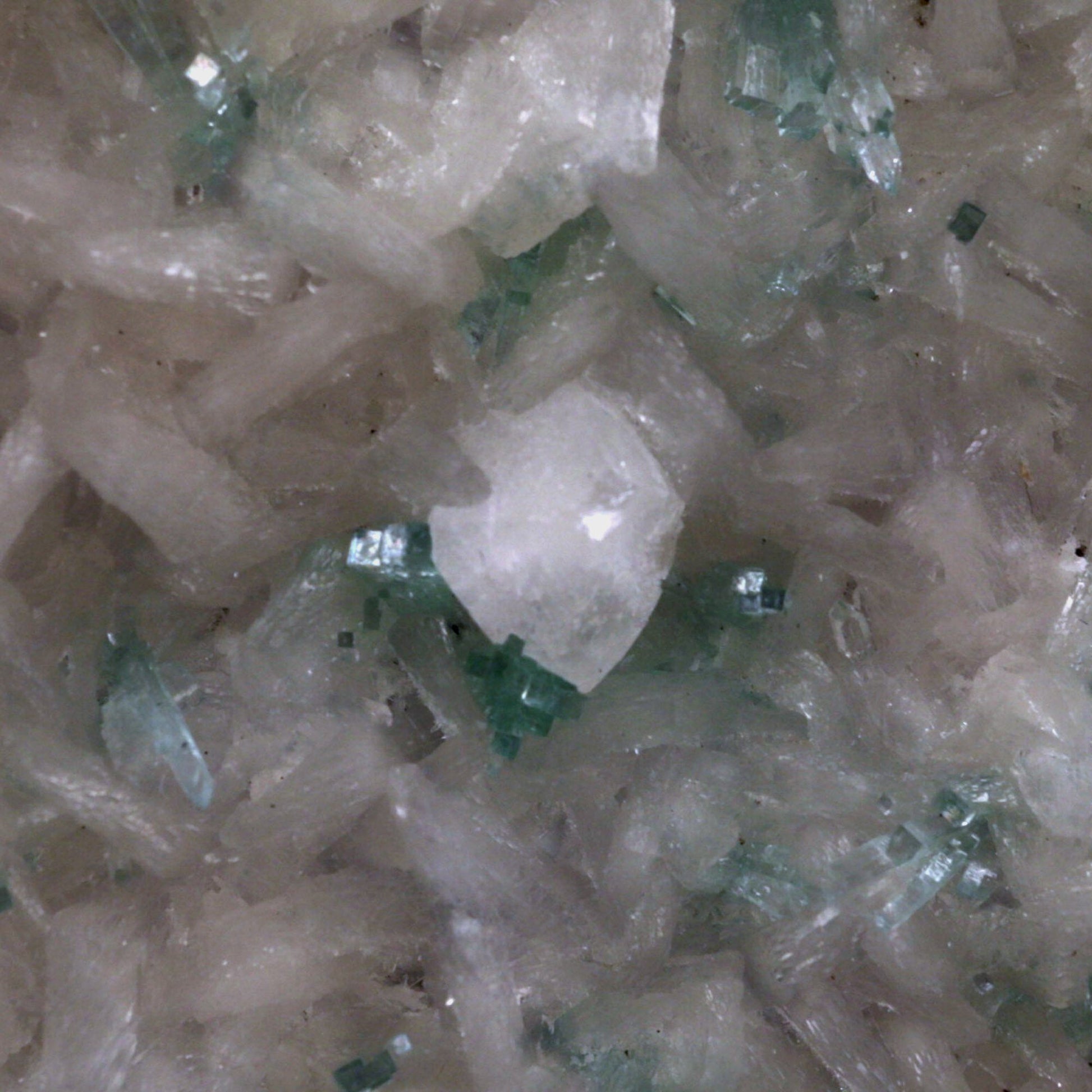 Green Apophyllite with Stilbite, Powellite Rare Find Natural Mineral S…  https://www.superbminerals.us/products/green-apophyllite-sprakling-crystals-with-stilbite-natural-mineral-specimen-b-4767  Features: We have a striking crystal perched elegantly in apophyllite and stilbite crystal nests that are elongated and dramatic! This is a noteworthy specimen in terms of the powellite's own size and the combination's overall appearance. The crystal is a double-terminated, transparent, satiny powellite crystal 