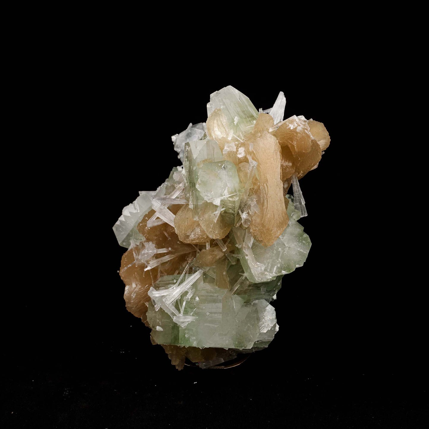 Green Apophyllite with Stilbite, Scolecite Sprays Natural Mineral Spec…  https://www.superbminerals.us/products/green-apophyllite-with-stilbite-scolecite-sprays-natural-mineral-specimen-b-5199  Features: A very aesthetic combination piece featuring numerous large, lustrous green modified cubes on a dark-brown matrix hosting numerous acicular sprays of colorless to white, satiny Scolecite Primary Mineral(s): ApophylliteSecondary Mineral(s): Stilbite, ScoleciteMatrix: N/A 6 Inch x 5 InchWeight : 1068