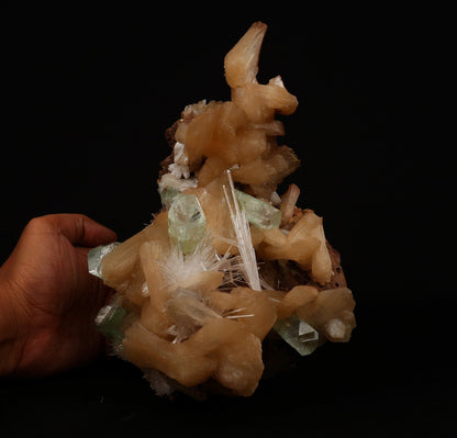 Green Apophylllite with Stilbite, Scolecite Spray Natural Mineral Spec…  https://www.superbminerals.us/products/green-apophylllite-with-stilbite-scolecite-spray-natural-mineral-specimen-b-5205  Features: A very aesthetic combination piece featuring numerous large, lustrous green modified cubes on a dark-brown matrix hosting numerous accular sprays of colorless to white, satiny Scolecite. Primary Mineral(s): ApophylliteSecondary Mineral(s): Stilbite, ScoleciteMatrix: N/A 8.5 Inch x 6 InchWeight : 1610