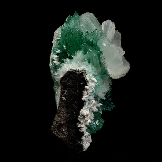 Green Fluorapophyllite and Stilbite Natural Mineral Specimen # B 507…  https://www.superbminerals.us/products/green-apophyllite-with-stilbite-natural-mineral-specimen-b-5070  Features: A fine oldtimer from theQuarry of the style of some of the earliest gem apophyllites that came out, totally unique in style and unequaled today! On a basaltic matrix are rosette-like clusters of glassy and gemmy, mint-green fluorapophyllite, to&nbsp; in length. Several doubly terminated, lustrous 