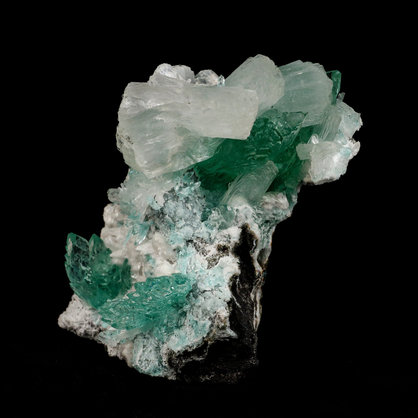 Green Fluorapophyllite and Stilbite Natural Mineral Specimen # B 507…  https://www.superbminerals.us/products/green-apophyllite-with-stilbite-natural-mineral-specimen-b-5070  Features: A fine oldtimer from theQuarry of the style of some of the earliest gem apophyllites that came out, totally unique in style and unequaled today! On a basaltic matrix are rosette-like clusters of glassy and gemmy, mint-green fluorapophyllite, to&nbsp; in length. Several doubly terminated, lustrous 