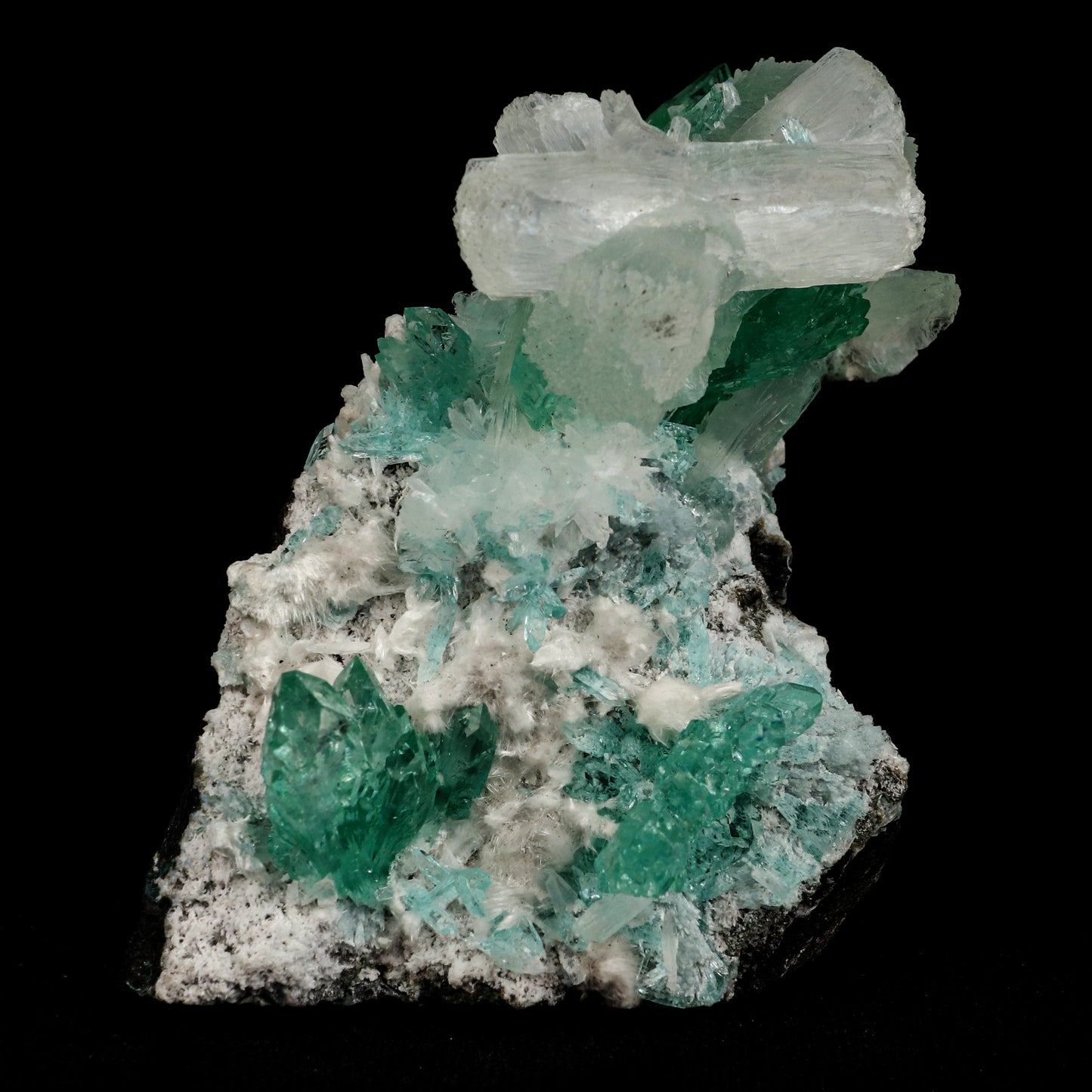 Green Fluorapophyllite and Stilbite Natural Mineral Specimen # B 507…  https://www.superbminerals.us/products/green-apophyllite-with-stilbite-natural-mineral-specimen-b-5070  Features: A fine oldtimer from theQuarry of the style of some of the earliest gem apophyllites that came out, totally unique in style and unequaled today! On a basaltic matrix are rosette-like clusters of glassy and gemmy, mint-green fluorapophyllite, to&nbsp; in length. Several doubly terminated, lustrous 