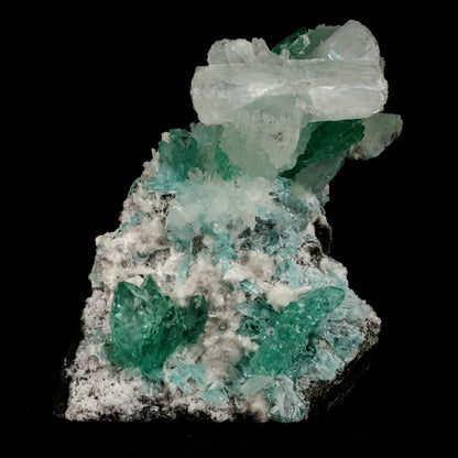 Green Fluorapophyllite and Stilbite Natural Mineral Specimen # B 507…  https://www.superbminerals.us/products/green-apophyllite-with-stilbite-natural-mineral-specimen-b-5070  Features: A fine oldtimer from theQuarry of the style of some of the earliest gem apophyllites that came out, totally unique in style and unequaled today! On a basaltic matrix are rosette-like clusters of glassy and gemmy, mint-green fluorapophyllite, to&nbsp; in length. Several doubly terminated, lustrous 