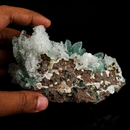 Green Gemmy Apophyllite Natural Mineral Specimen # B 6550 Apophyllite Superb Minerals 