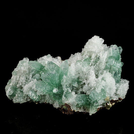 Green Gemmy Apophyllite Natural Mineral Specimen # B 6550 Apophyllite Superb Minerals 