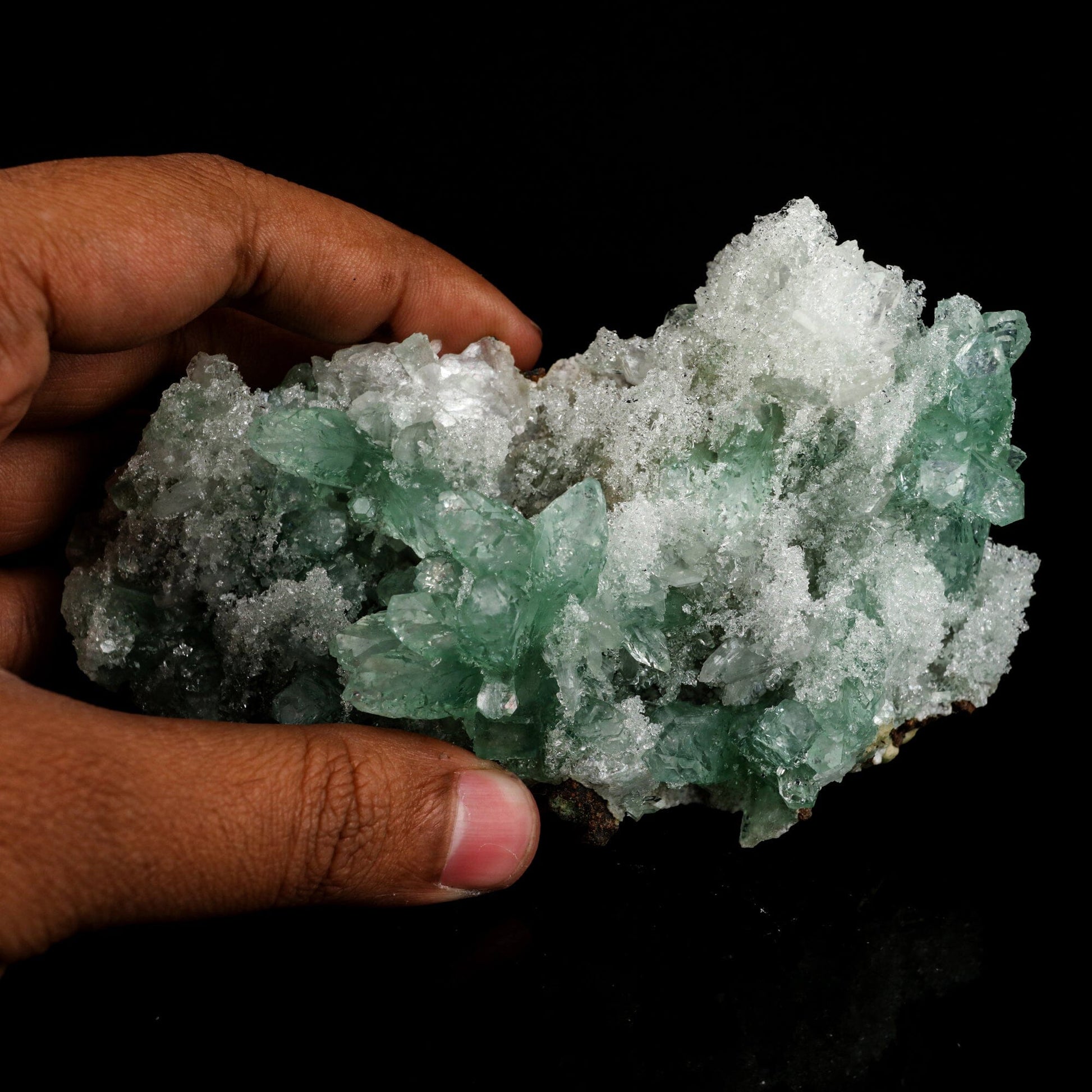 Green Gemmy Apophyllite Natural Mineral Specimen # B 6550 Apophyllite Superb Minerals 