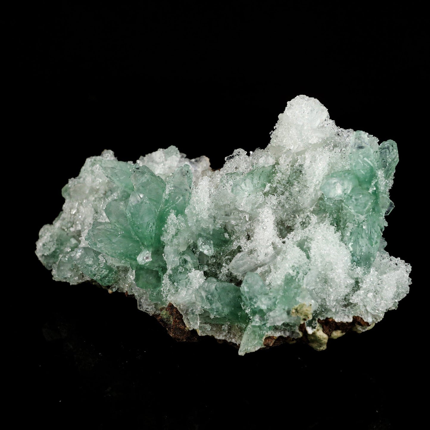 Green Gemmy Apophyllite Natural Mineral Specimen # B 6550 Apophyllite Superb Minerals 