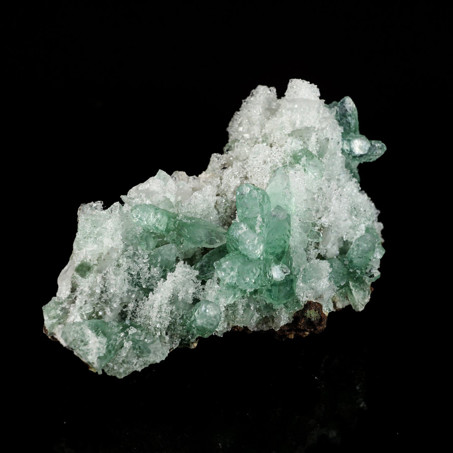 Green Gemmy Apophyllite Natural Mineral Specimen # B 6550 Apophyllite Superb Minerals 