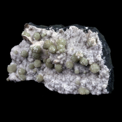 Gyrolite Balls on Chalcedony Natural Mineral Specimen # B 4898  https://www.superbminerals.us/products/gyrolite-balls-on-chalcedony-natural-mineral-specimen-b-4898  Features: Magnificent gyrolite balls scattered throughout a chalcedony matrix.extremely interesting item to have in one's collection Primary Mineral(s): GyroliteSecondary Mineral(s): N/AMatrix: Chalcedony