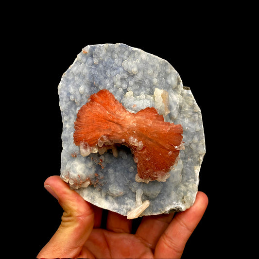 Heulandite Bow on Chalcedony Matrix Natural Mineral Specimen # DK185 Heulandite Superb Minerals 