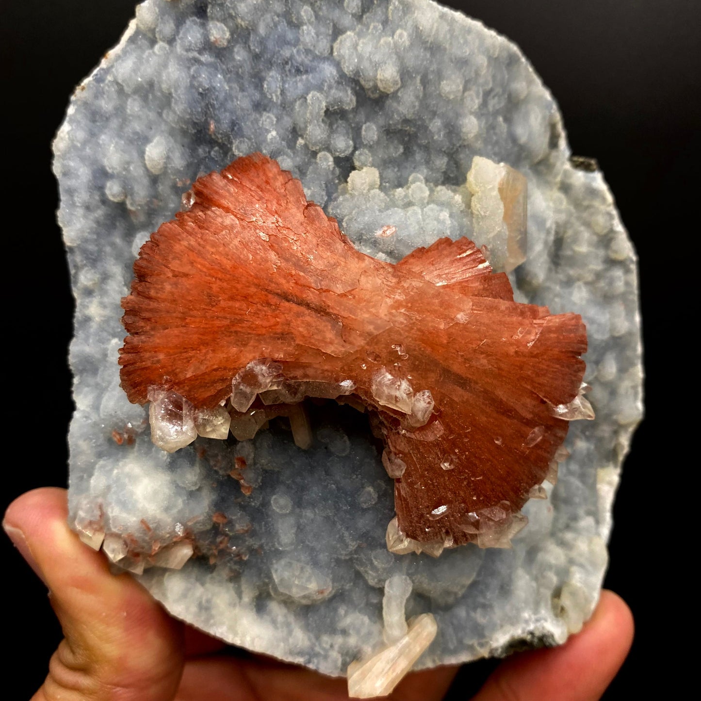 Heulandite Bow on Chalcedony Matrix Natural Mineral Specimen # DK185 Heulandite Superb Minerals 