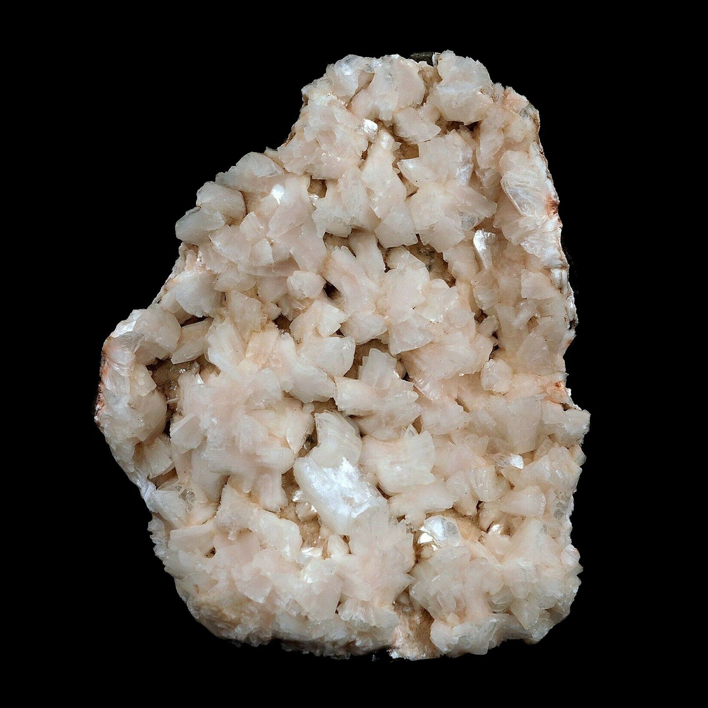 Heulandite cluster Natural Mineral Specimen # B 3665  https://www.superbminerals.us/products/heulandite-cluster-natural-mineral-specimen-b-3665  Features A large aesthetic piece featuring a plate lined with big beige, lustrous Heulandite crystals – this piece sparkles! Great color, luster and contrast – in excellent condition. Primary Mineral(s): HeulanditeSecondary Mineral(s): N/AMatrix: N/A19 cm x 15 cm1530.00 GmsLocality: Nashik, Maharashtra, India