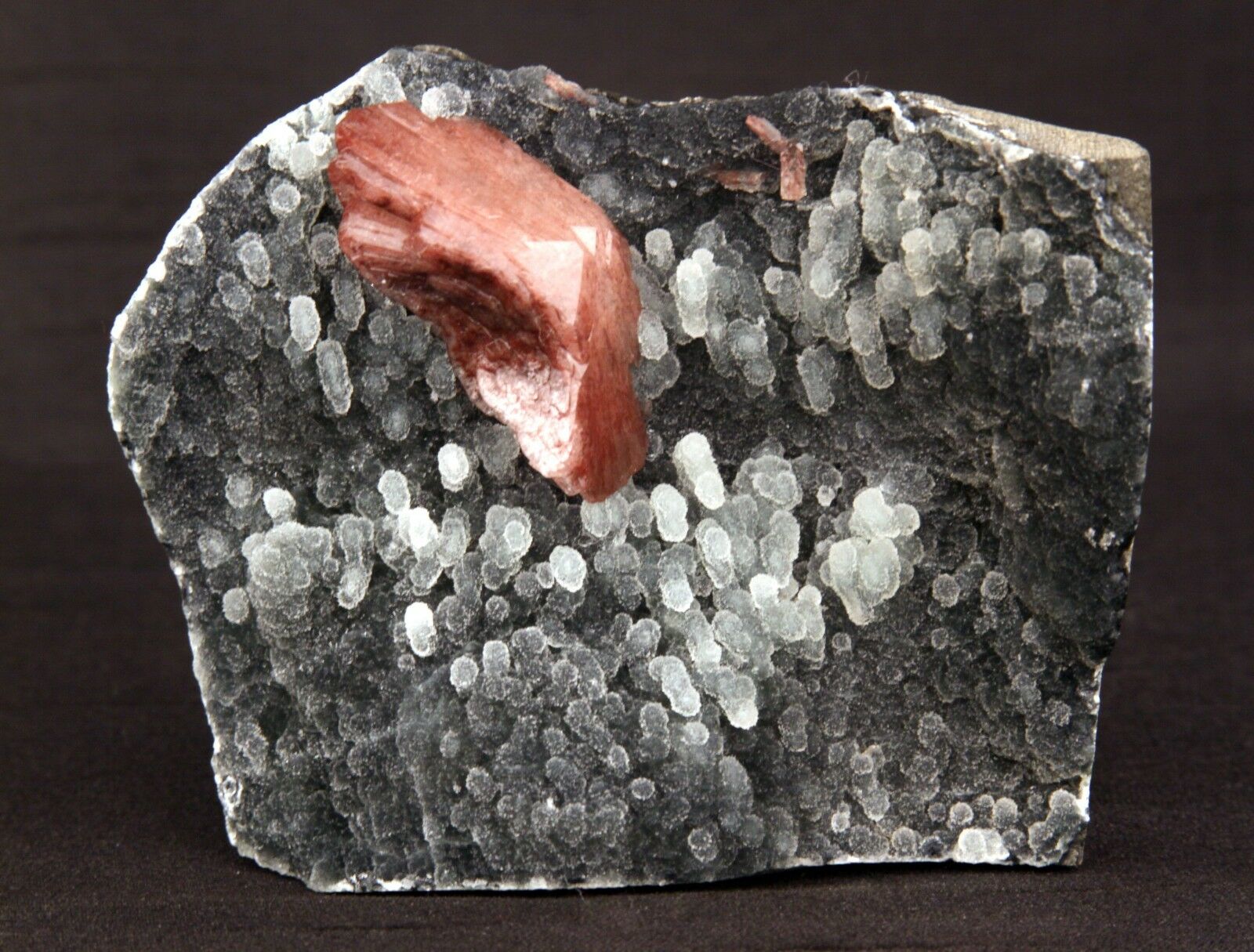 Heulandite Crystal on Stalactite of Chalcedony Natural Minerals Specim…  https://www.superbminerals.us/products/heulandite-crystal-on-stalactite-of-chalcedony-natural-minerals-specimen-b-1405  Features: A striking doubly terminated heulandite crystal is dramatically set in the sculptural, well-prepared vug in basalt lined with strikingly contrasting sparkly gray drusy chalcedony. The stunning glassy, pearlescent, translucent parallel-growth bladed heulandite has beautiful rich coral-pink color