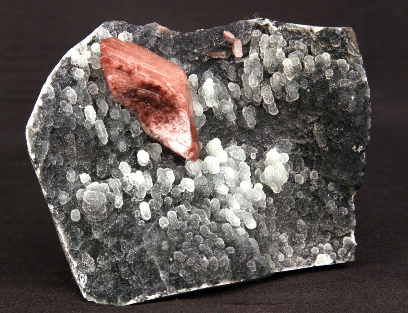 Heulandite Crystal on Stalactite of Chalcedony Natural Minerals Specim…  https://www.superbminerals.us/products/heulandite-crystal-on-stalactite-of-chalcedony-natural-minerals-specimen-b-1405  Features: A striking doubly terminated heulandite crystal is dramatically set in the sculptural, well-prepared vug in basalt lined with strikingly contrasting sparkly gray drusy chalcedony. The stunning glassy, pearlescent, translucent parallel-growth bladed heulandite has beautiful rich coral-pink color