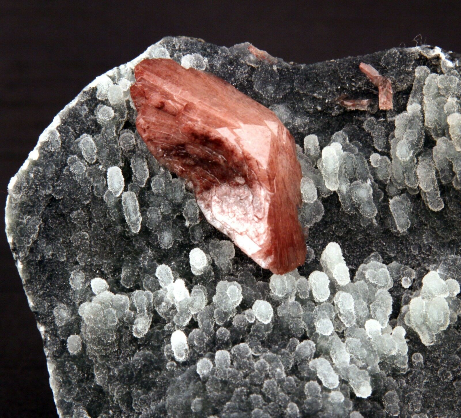 Heulandite Crystal on Stalactite of Chalcedony Natural Minerals Specim…  https://www.superbminerals.us/products/heulandite-crystal-on-stalactite-of-chalcedony-natural-minerals-specimen-b-1405  Features: A striking doubly terminated heulandite crystal is dramatically set in the sculptural, well-prepared vug in basalt lined with strikingly contrasting sparkly gray drusy chalcedony. The stunning glassy, pearlescent, translucent parallel-growth bladed heulandite has beautiful rich coral-pink color