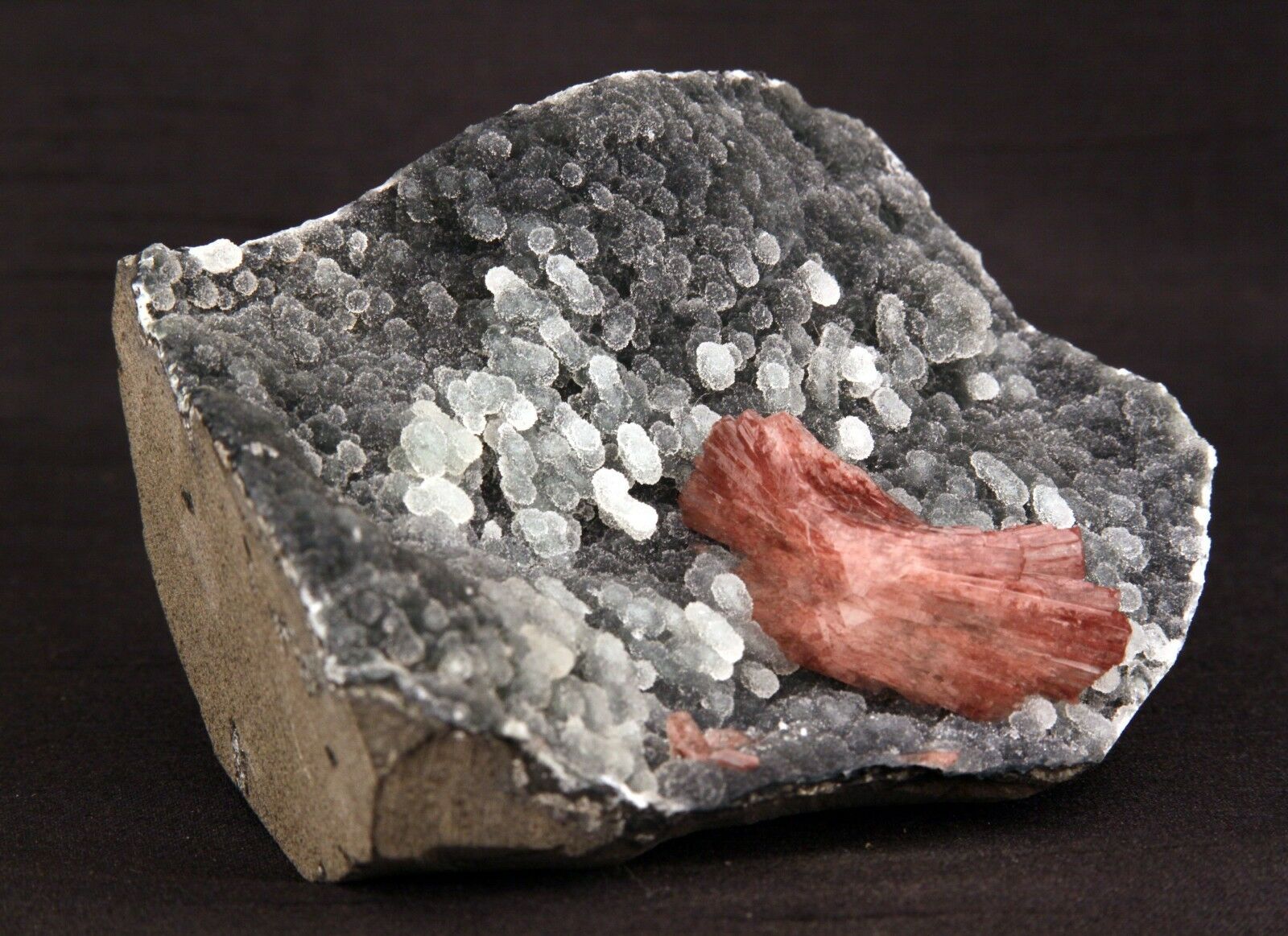 Heulandite Crystal on Stalactite of Chalcedony Natural Minerals Specim…  https://www.superbminerals.us/products/heulandite-crystal-on-stalactite-of-chalcedony-natural-minerals-specimen-b-1405  Features: A striking doubly terminated heulandite crystal is dramatically set in the sculptural, well-prepared vug in basalt lined with strikingly contrasting sparkly gray drusy chalcedony. The stunning glassy, pearlescent, translucent parallel-growth bladed heulandite has beautiful rich coral-pink color